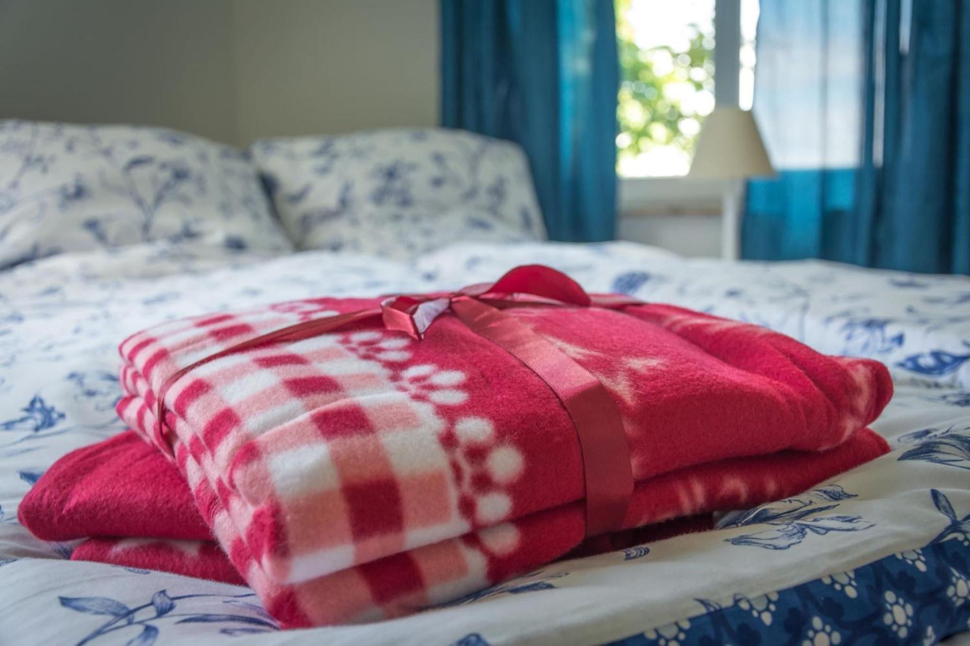 Ferienwohnung Fischersfru フレンスブルク エクステリア 写真